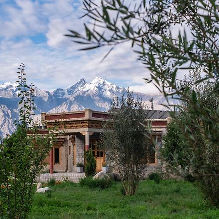 Отель Lchang Nang Retreat-The House Of Trees-Nubra Valley Sumur Экстерьер фото