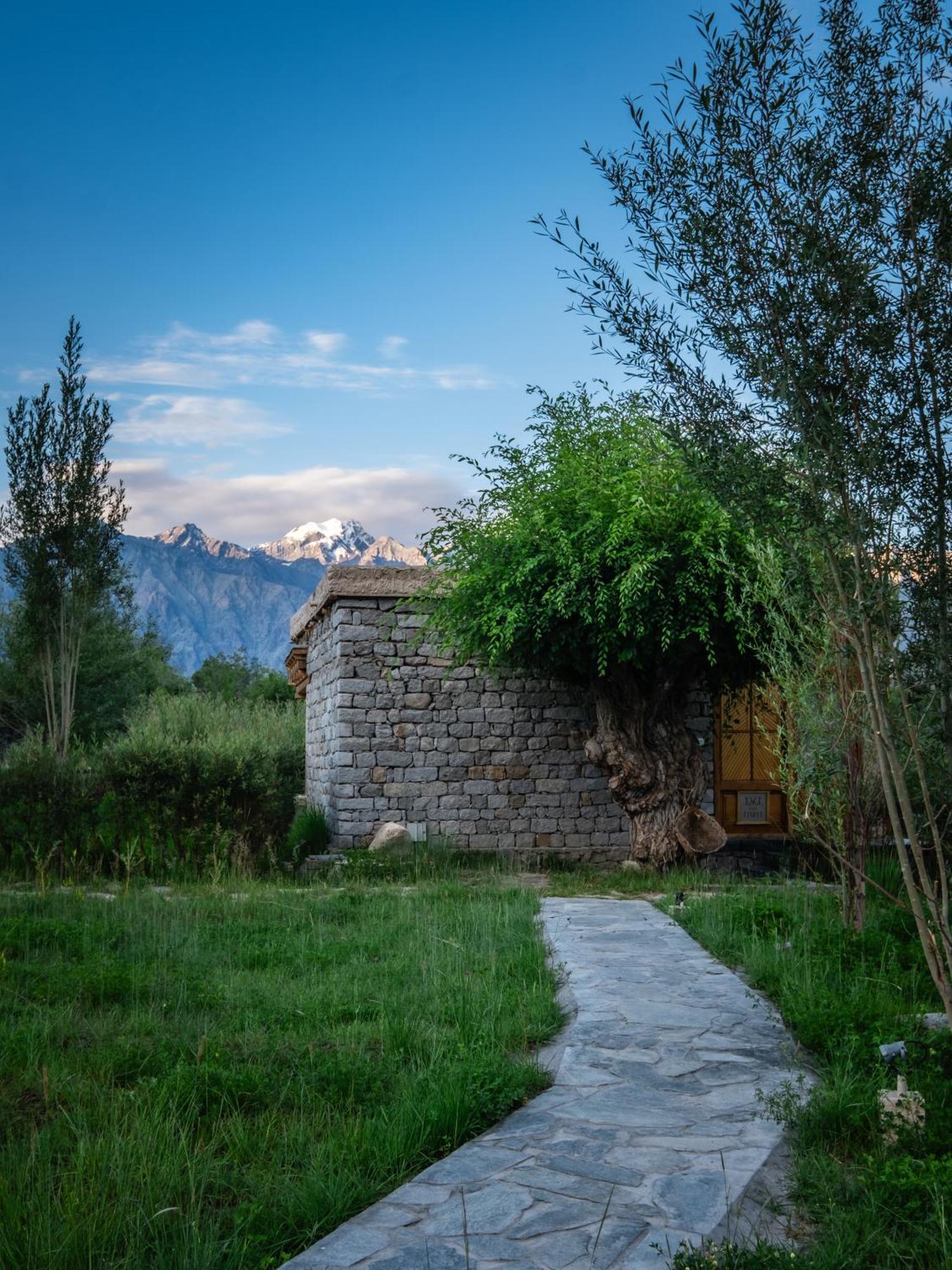 Отель Lchang Nang Retreat-The House Of Trees-Nubra Valley Sumur Экстерьер фото